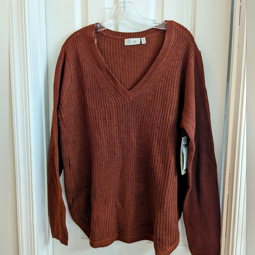RD Style Brown V Neck Sweater NWT